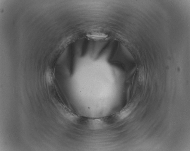 X0000073720287200608171211