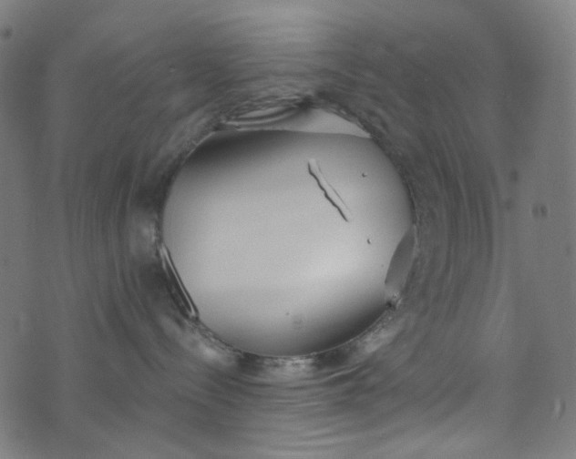 X0000073720288200608171211