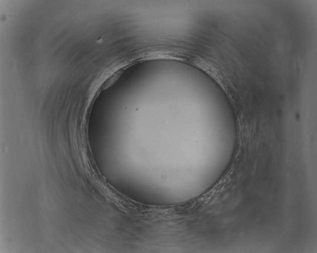 X0000073720289200608171210