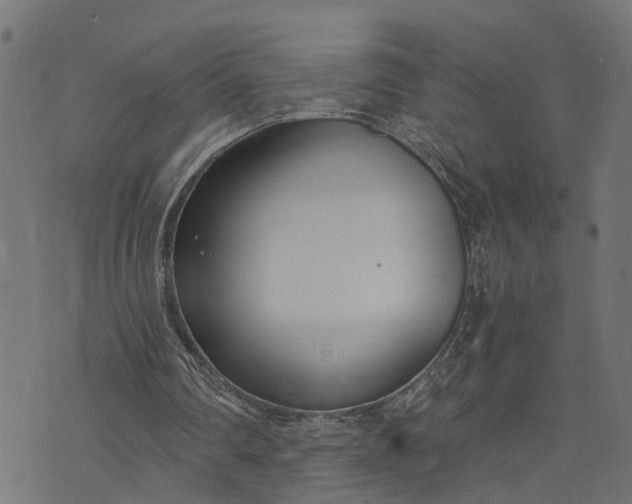 X0000073720290200608171210