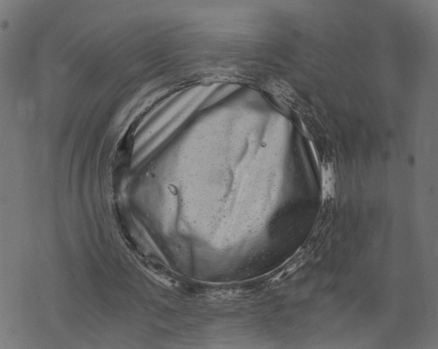 X0000073720291200608171210