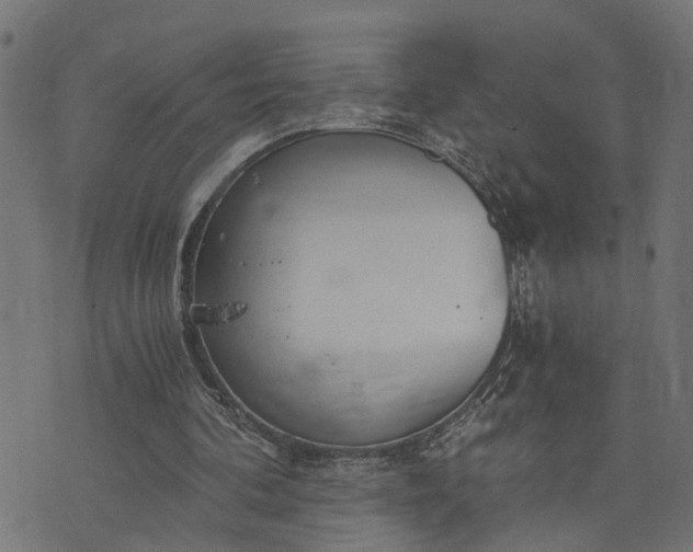 X0000073720292200608171210