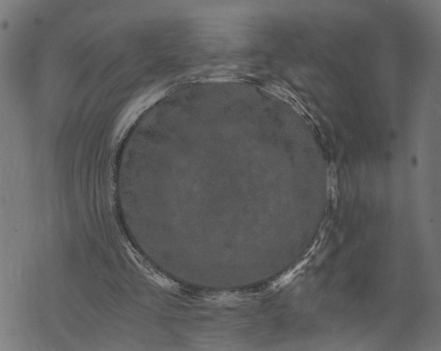 X0000073720293200608171210