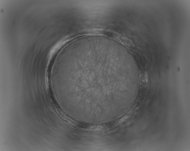 X0000073720294200608171210