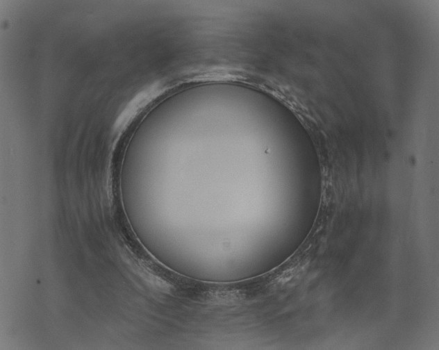 X0000073720296200608171210