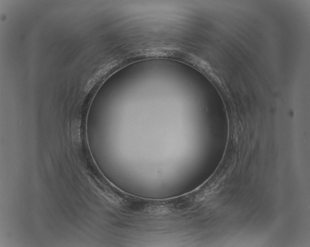 X0000073720299200608171210