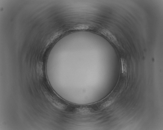 X0000073720300200608171210