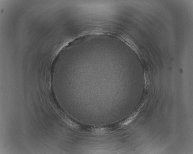 X0000073720301200608171210