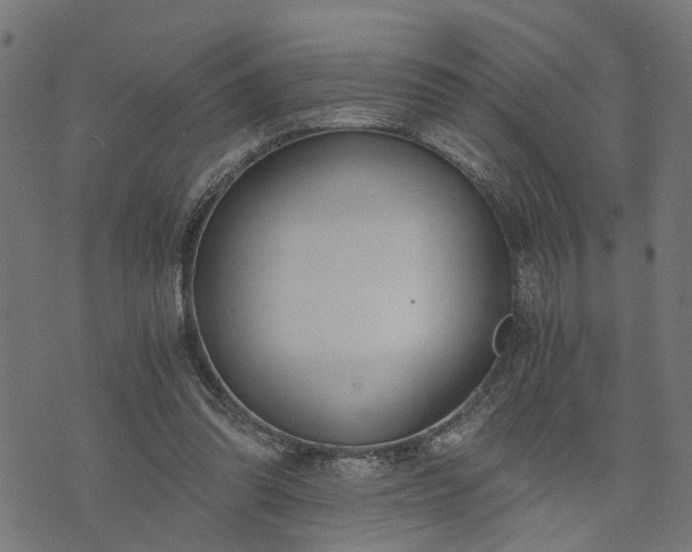 X0000073720302200608171210