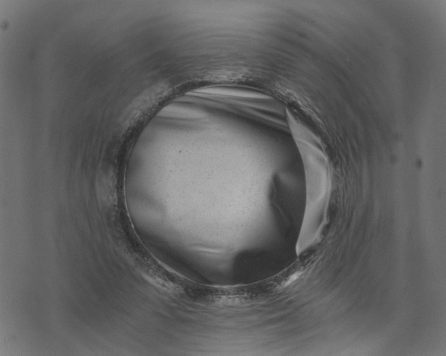 X0000073720303200608171210