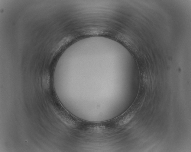 X0000073720304200608171210