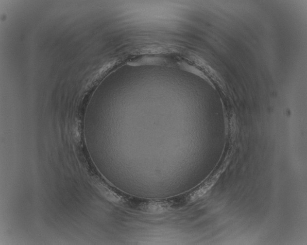 X0000073720305200608171210