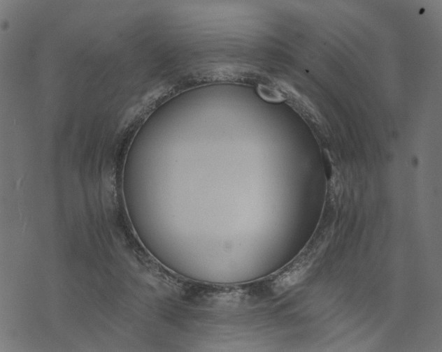 X0000073720306200608171210