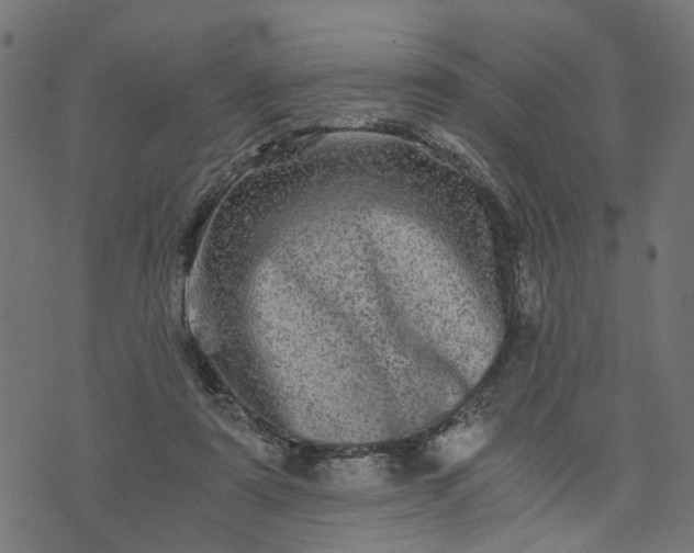 X0000073720307200608171210