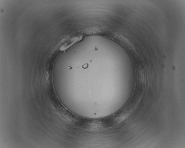 X0000073720308200608171210