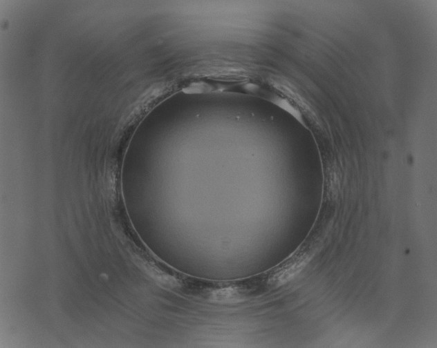 X0000073720309200608171210