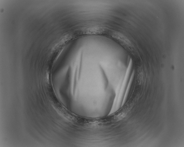 X0000073720310200608171210