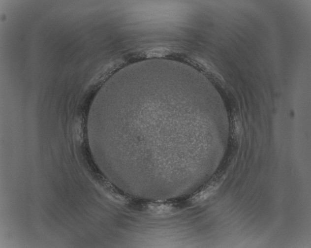 X0000073720311200608171210