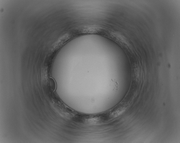 X0000073720312200608171210