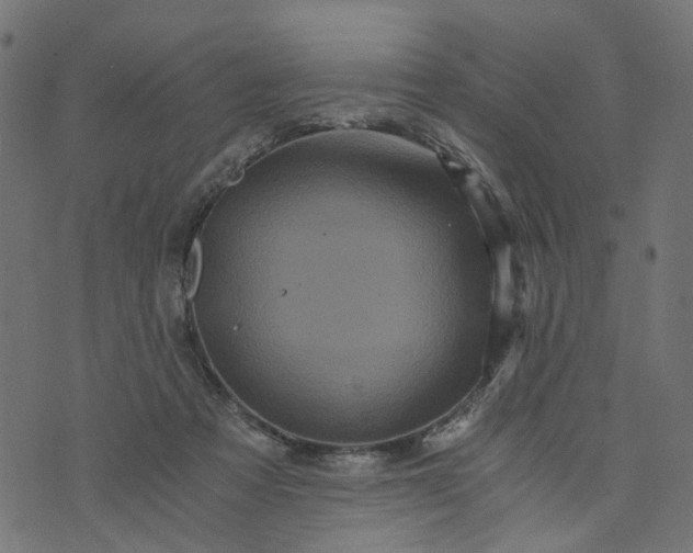 X0000073720313200608171210