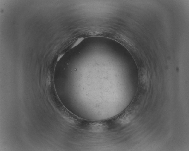 X0000073720315200608171210