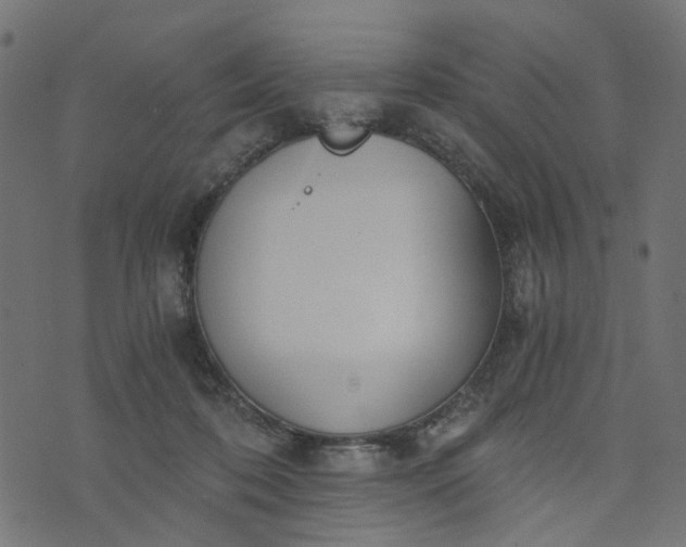 X0000073720316200608171210