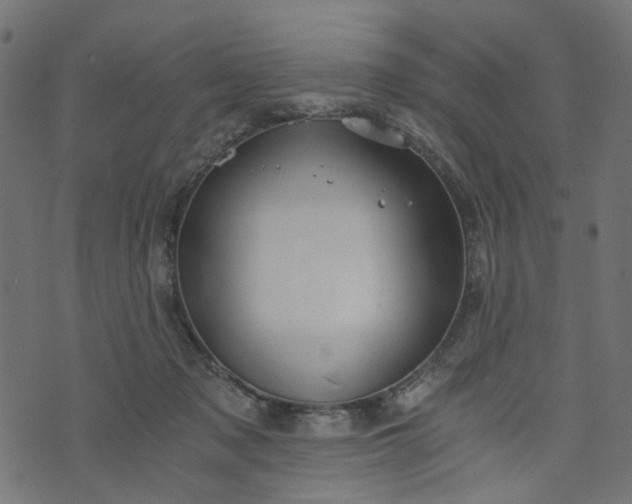 X0000073720317200608171210