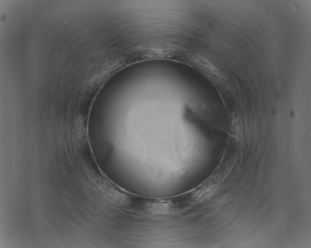 X0000073720318200608171210