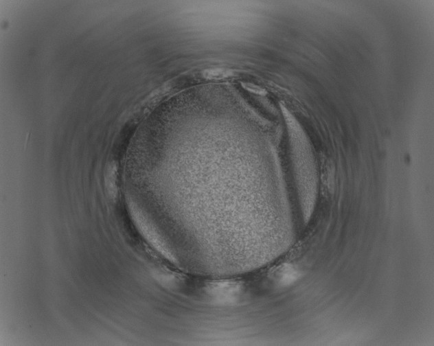 X0000073720319200608171210