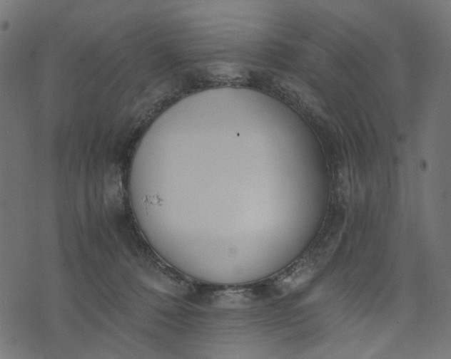 X0000073720320200608171210