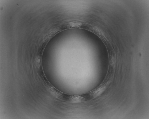 X0000073720321200608171210