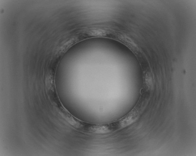 X0000073720322200608171210