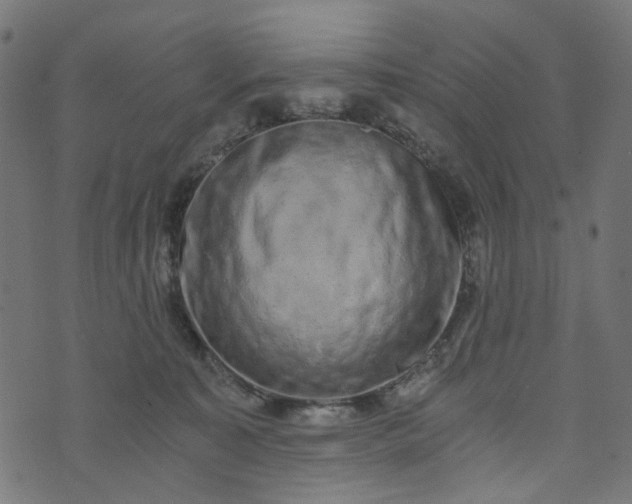 X0000073720323200608171210