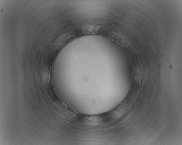 X0000073720324200608171210