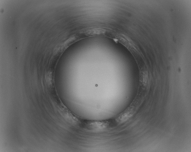 X0000073720326200608171210