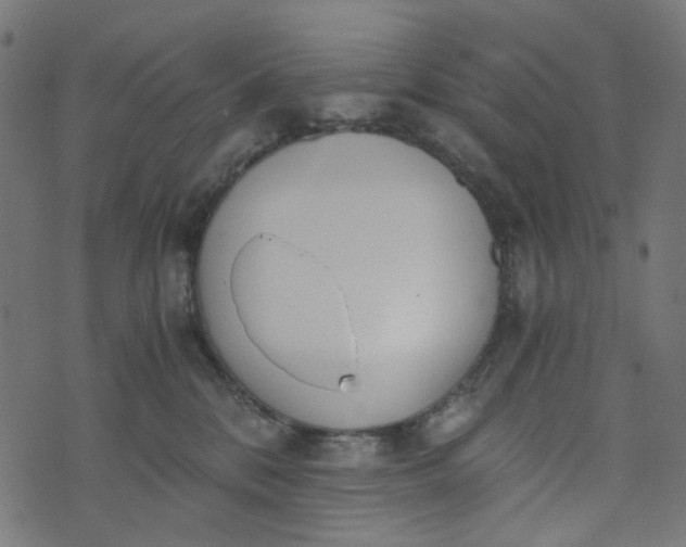 X0000073720328200608171210