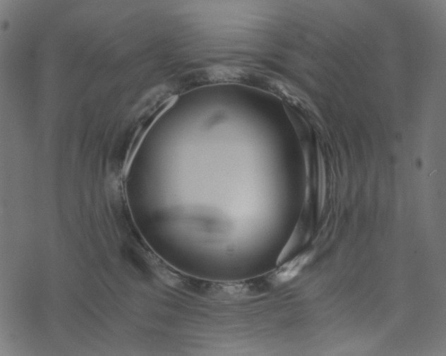 X0000073720329200608171210