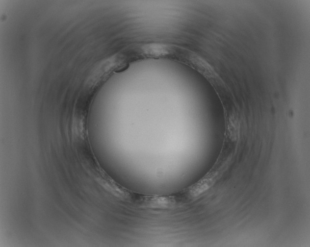 X0000073720330200608171210