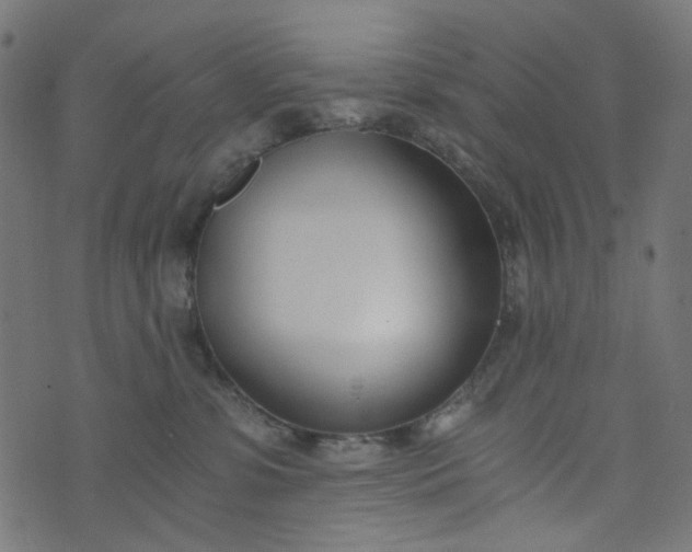 X0000073720331200608171210