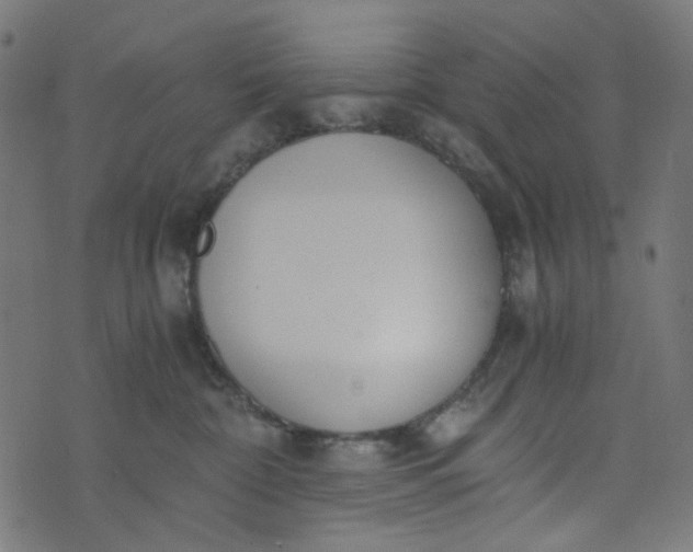 X0000073720332200608171210