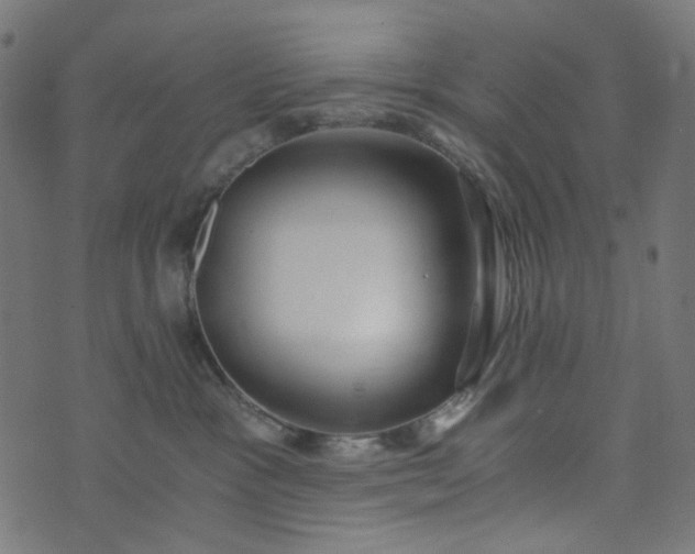 X0000073720333200608171210