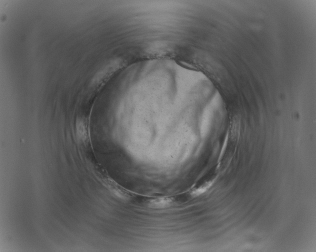 X0000073720335200608171210