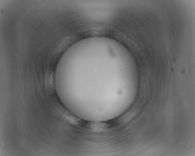 X0000073720336200608171210