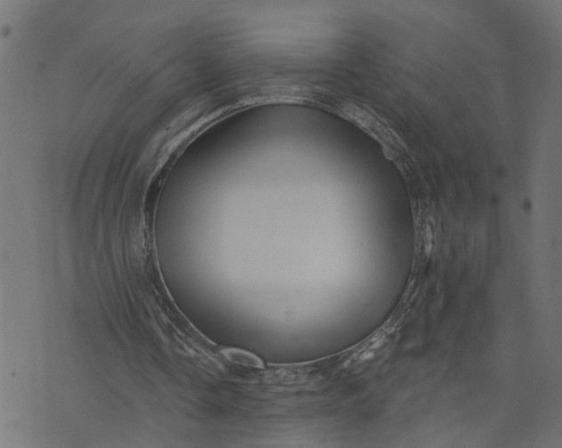 X0000073720338200608171209