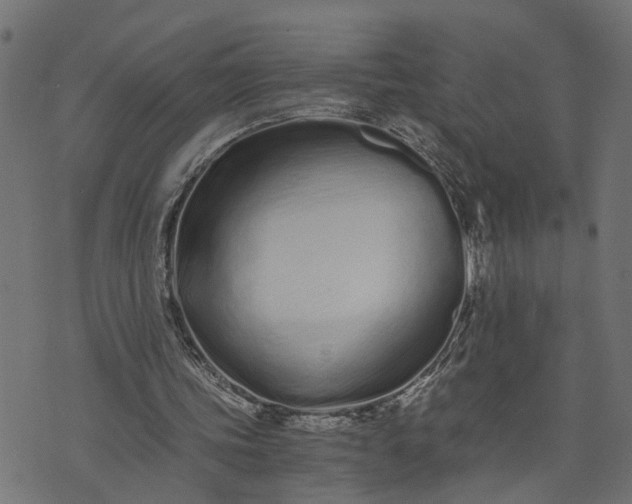 X0000073720339200608171209