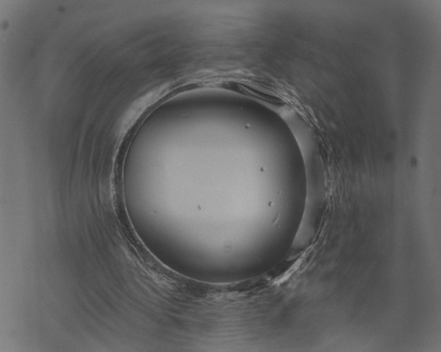 X0000073720340200608171209