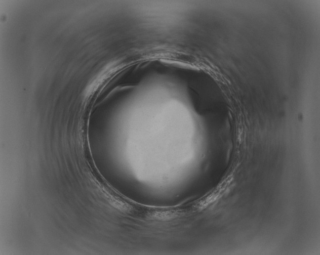 X0000073720341200608171209