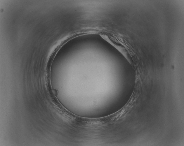 X0000073720342200608171209