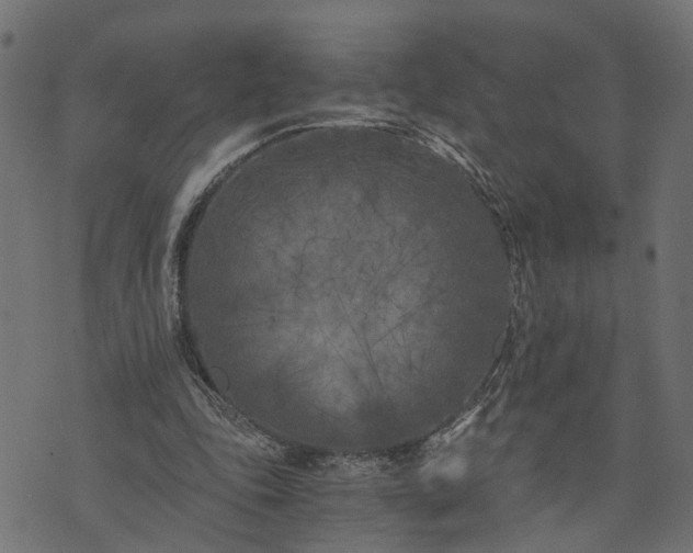 X0000073720343200608171209