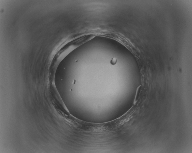 X0000073720344200608171209